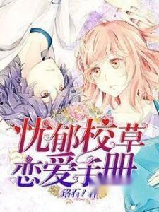 恋爱手册,解锁甜蜜关系的秘密钥匙