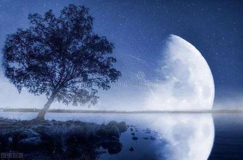 过期白月光,过期情愫的温柔回响