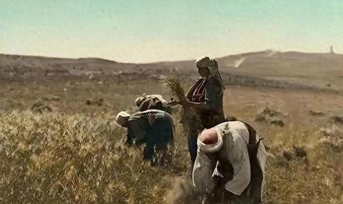 苦难的收获,收获中的成长与蜕变